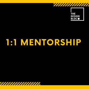1:1 Mentorship Programs